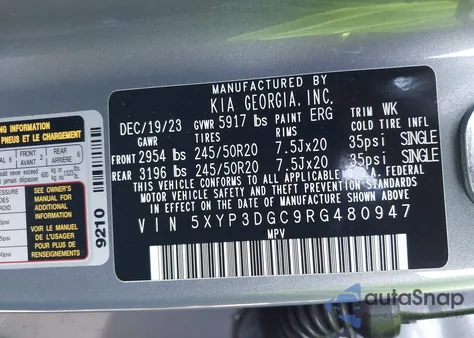 2024 Kia Telluride Ex/Ex X-Line из США, поврежденный, VIN 5XYP3DGC9RG480947